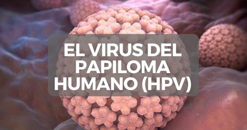 ¿Qué es el HPV o virus del papiloma humano y cómo evitar el contagio?