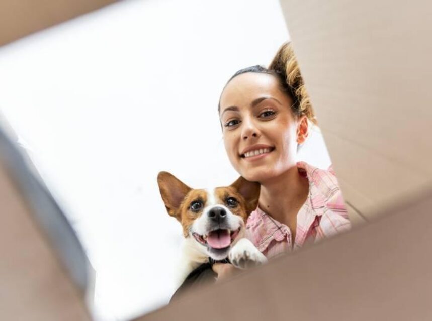 Mujer con su mascota, un perro, se asoma y desde la profundidad de una caja de carton, se le ve sonriente. Optimista.