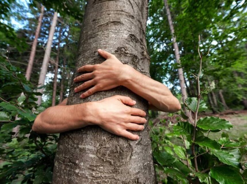 En un frondoso bosque se ve el tronco de un árbol rodeado por los brazos de una persona que le abraza.