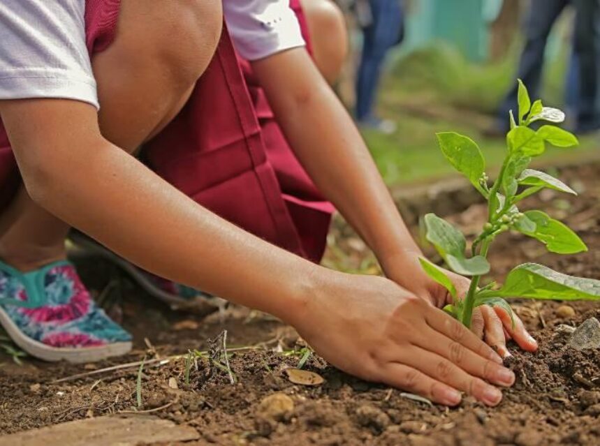Imagen parcial de niña plantando un árbol.