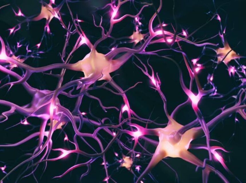 Redes neuronales haciendo sinapsis