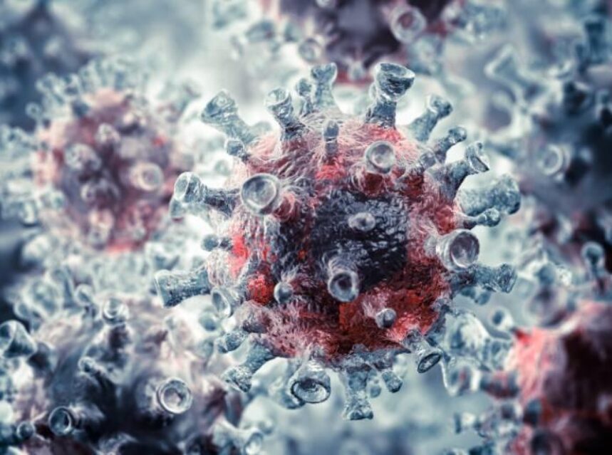 Imagen celular de un virus.