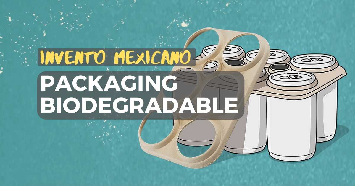 Gran invento mexicano revolucionario: el packaging biodegradable