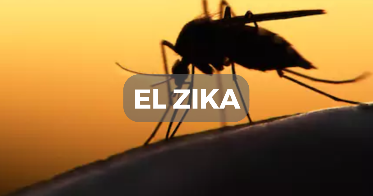Evita el contagio y la propagación del Zika