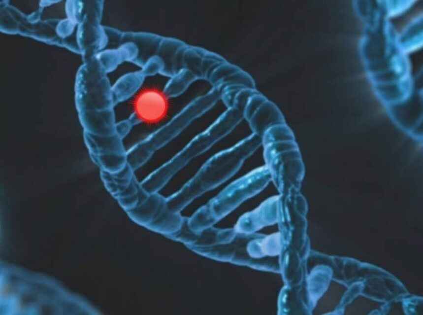 Imagen de una célula en un ADN.