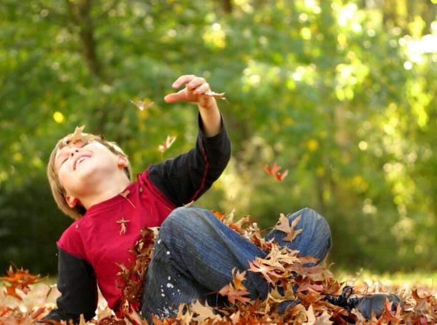 Niño juega sentado en el paso entre hojas secas del otoño.