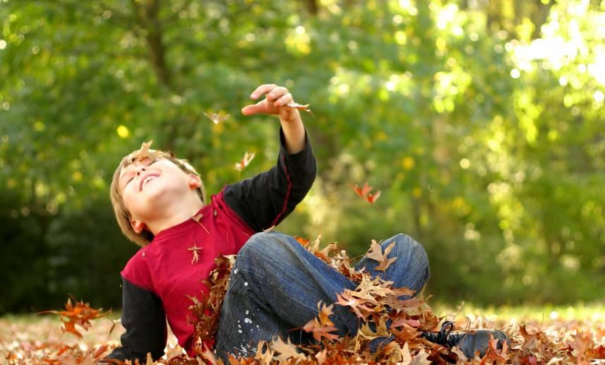 Niño juega sentado en el paso entre hojas secas del otoño.