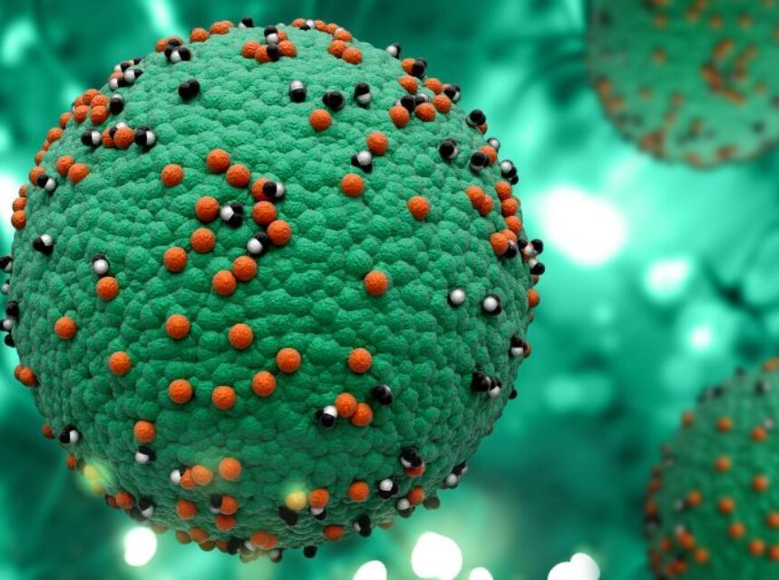 Imagen de 3D celular de sarampión.