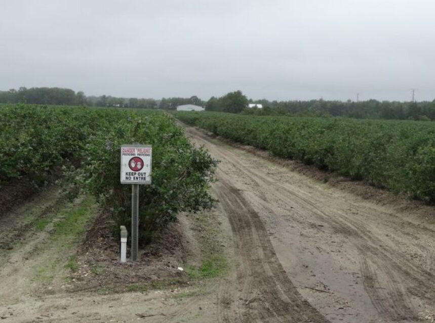En una granja con verdes plantíos, se ven caminos peatonales y un letrero de precaución o cuidado.