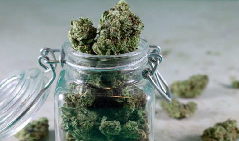Frasco de vidrio contiene cannabis.
