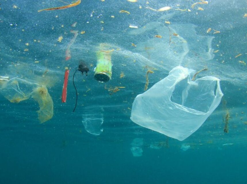 Basura en el mar, bolsas plásticas, latas de aluminio, desechos inorgánicos en general.