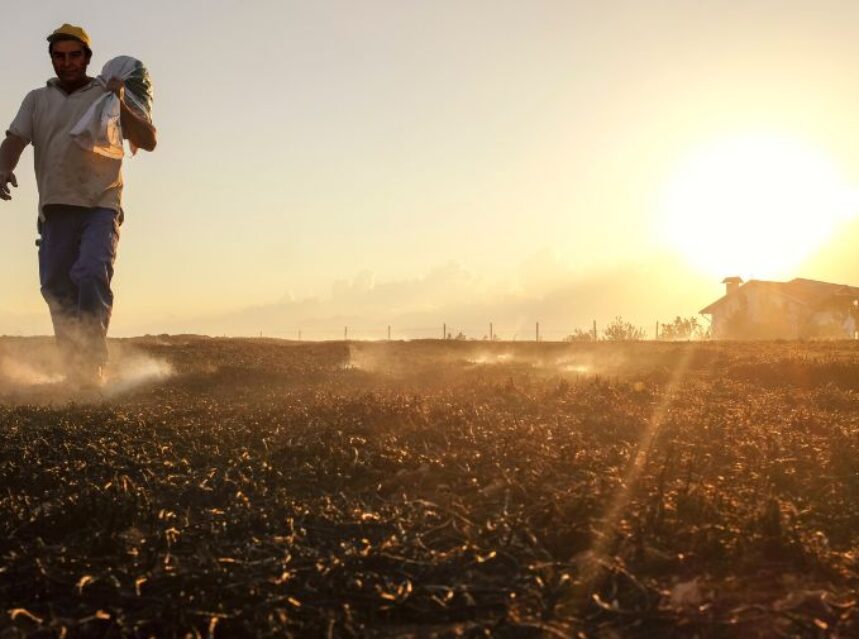 Un agricultor camina por un campo agrícola mientras el sol resplandece.