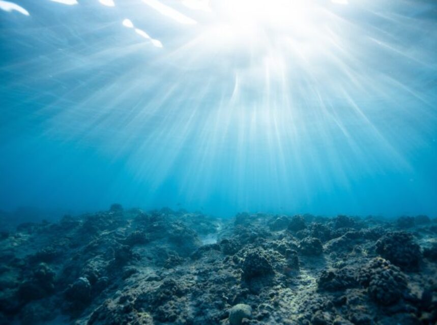 Oceano iluminado por el sol con un suelo de coral.