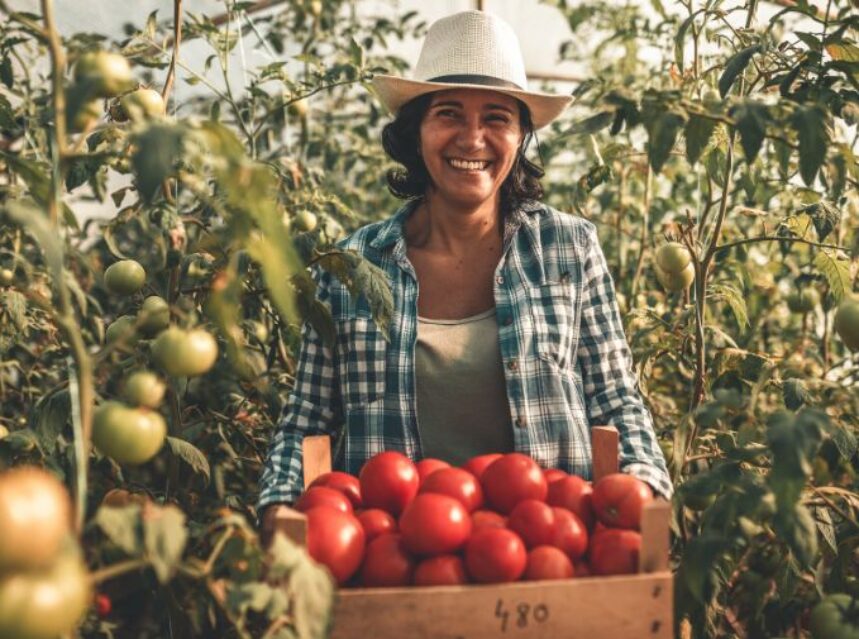 Mujer sonriente en una granja con jitomates en sus manos.