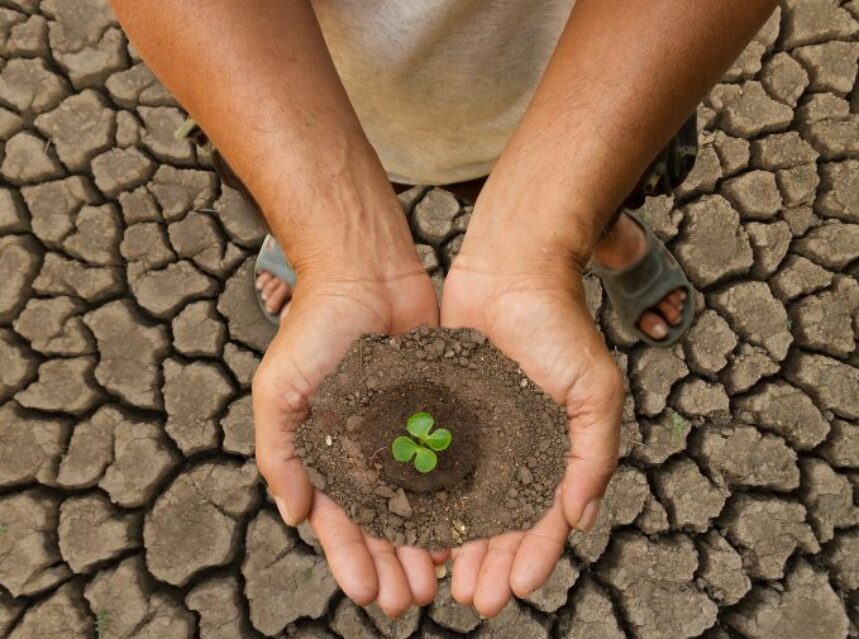 Persona sostiene entre sus manos una plantita verde en pleno nacimiento, el escenario es suelo erosionado.