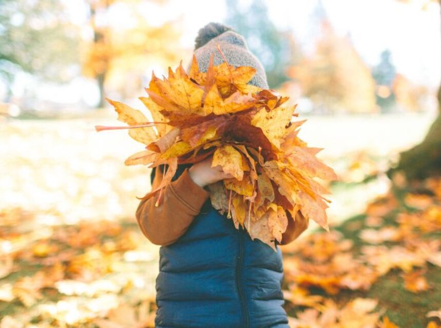 Un niño sostiene en sus manos hojas caídas del otoño, a su alrededor hojas por todas partes.