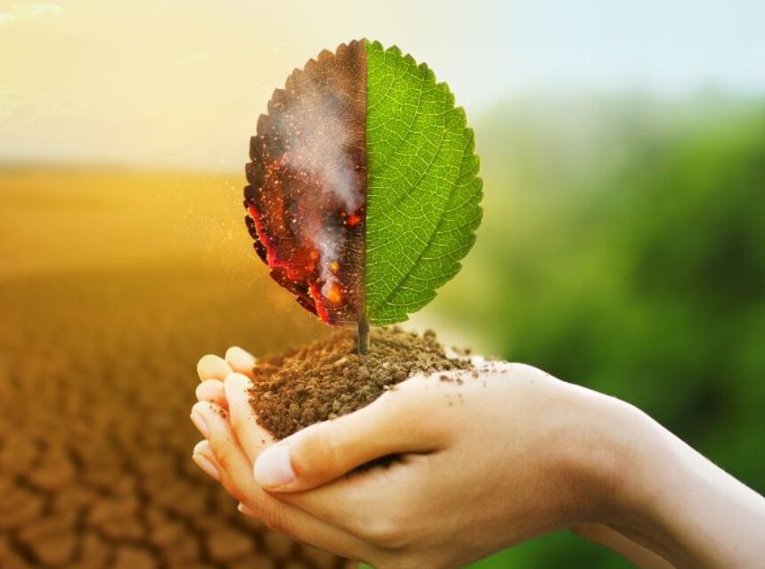 Una mano sostiene tierra y una hoja mitad seca y mitad fresca, en metáfora de erosión de la tierra y abundancia de la naturaleza.