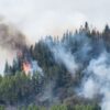 Humo sale de un bosque que se incendia.