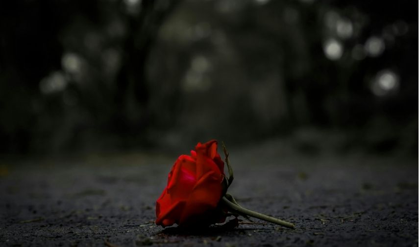 Cómo superar una ruptura amorosa