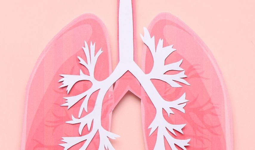 pulmones sanos