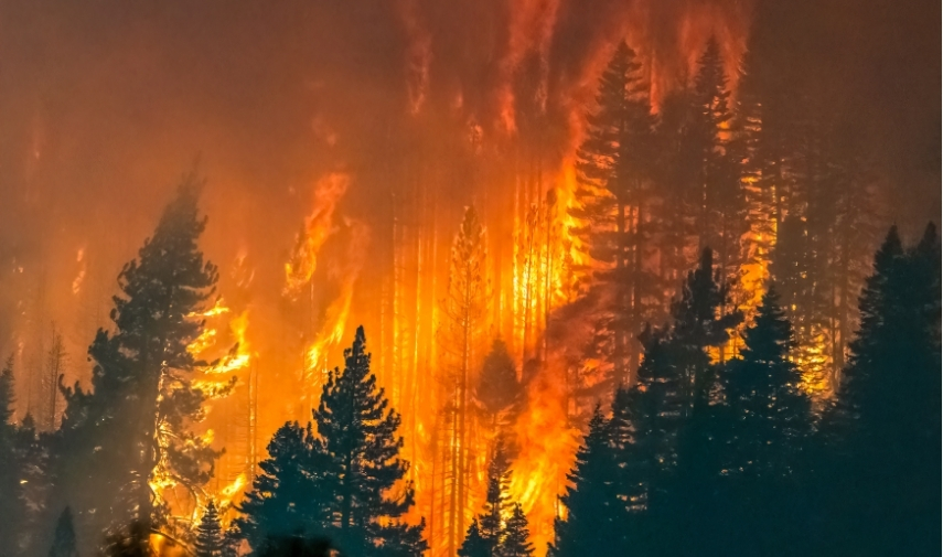 El humo de incendios forestales puede afectar seriamente la salud respiratoria y cardiovascular.